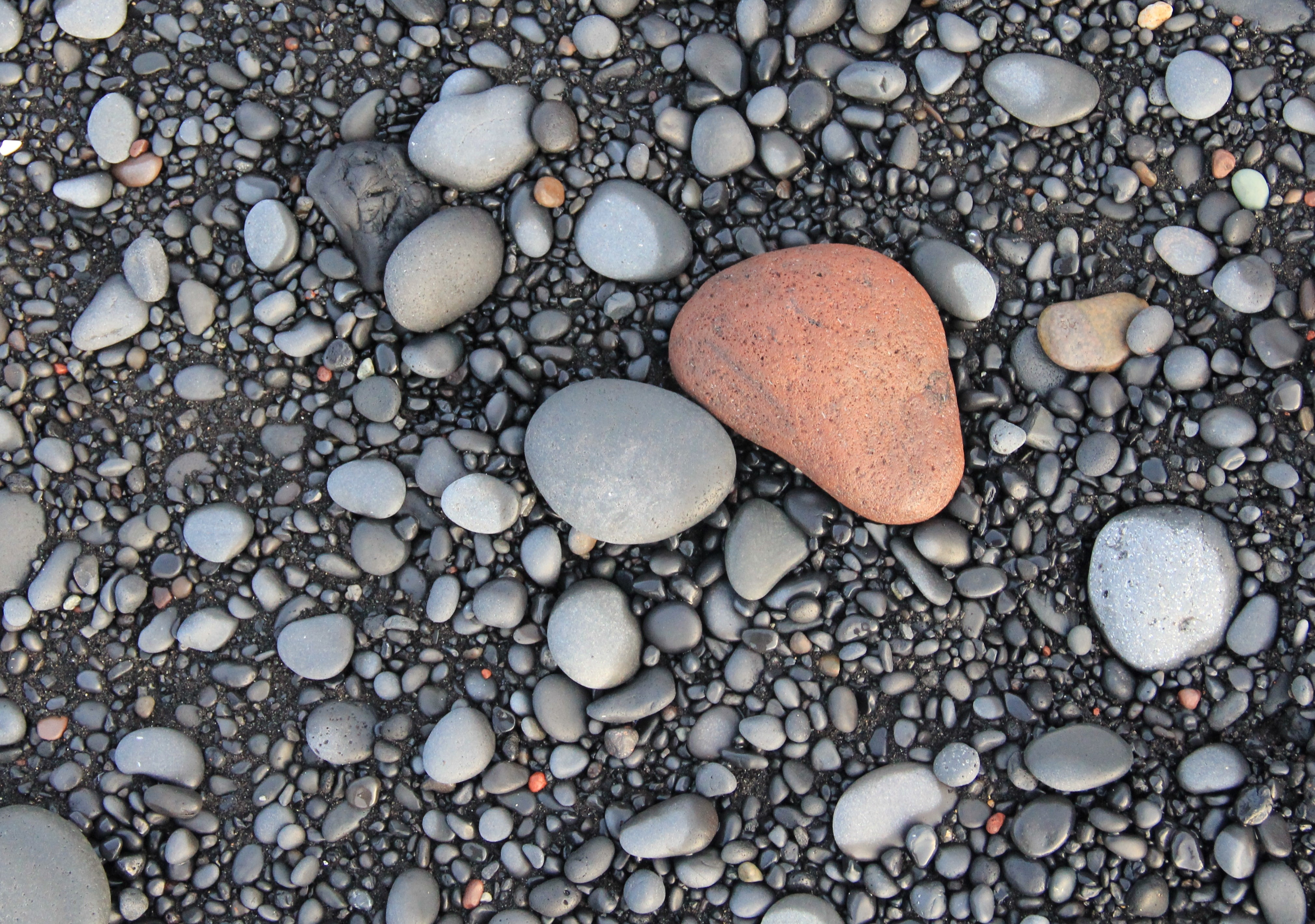 No Stone Unturned: Member risk identification requires comprehensive approach