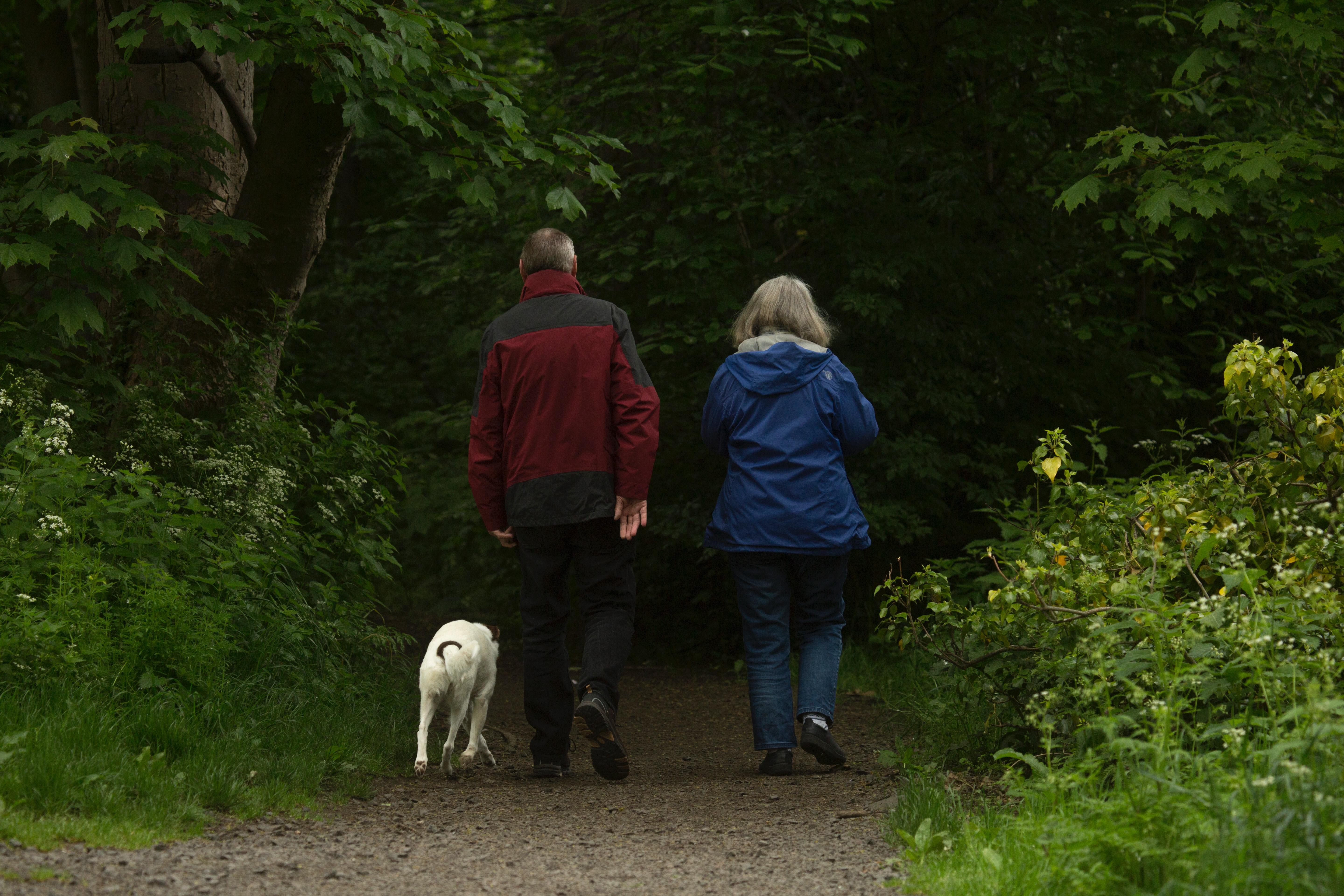 Planning to retire? We’ve got answers to common questions about Medicare
